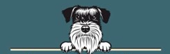 The Barkber