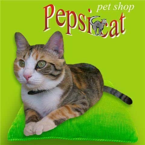 Pepsicat