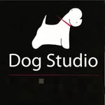 Dog Studio