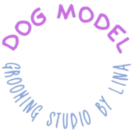 Dog Model